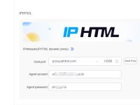 The Most Reliable IP Proxy Tool for Driving Traffic to Branded Lookalike Stores on Facebook and TikTok